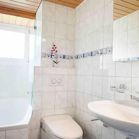 Alpine * カンデルシュテッグ